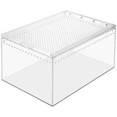 Tarantula Feeding Snail Reptiles Incubator Spider Incubator Πρακτικός κάδος τροφοδοσίας για Snail Pet Spider Tarantula