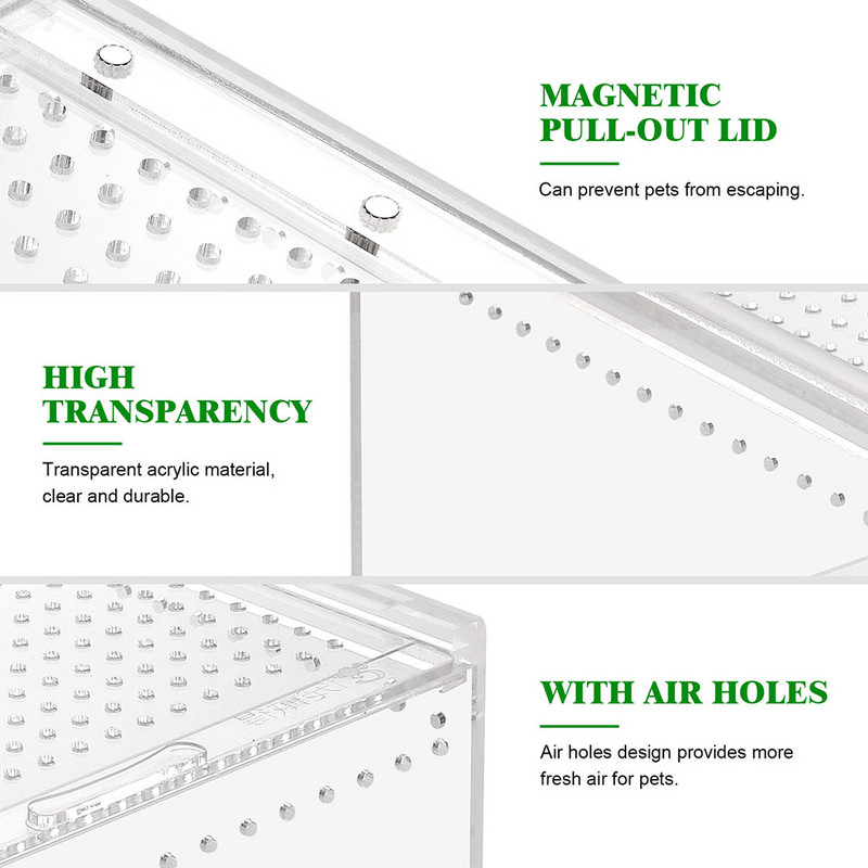 Tarantula Feeding Snail Reptiles Incubator Spider Incubator Πρακτικός κάδος τροφοδοσίας για Snail Pet Spider Tarantula