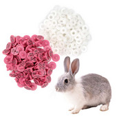 100 vnt. Triušio ausų įsagas su užrašu Ausų rašymas lazeriu vario galvos auskarai 4 spalvų ūkinio gyvūno ožkos kiaulės identifikavimo kortelė