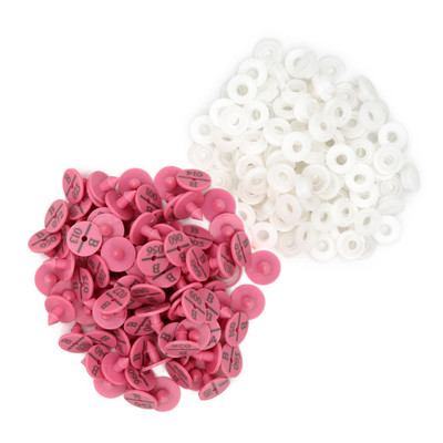 100 vnt. Triušio ausų įsagas su užrašu Ausų rašymas lazeriu vario galvos auskarai 4 spalvų ūkinio gyvūno ožkos kiaulės identifikavimo kortelė