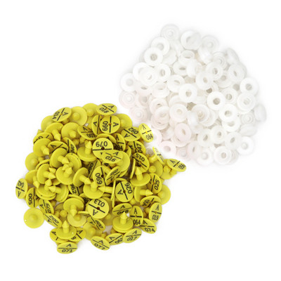 100 vnt. Triušio ausų įsagas su užrašu Ausų rašymas lazeriu vario galvos auskarai 4 spalvų ūkinio gyvūno ožkos kiaulės identifikavimo kortelė