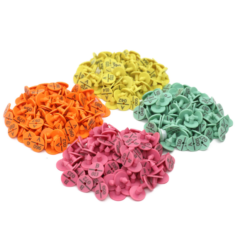 100 vnt. Triušio ausų įsagas su užrašu Ausų rašymas lazeriu vario galvos auskarai 4 spalvų ūkinio gyvūno ožkos kiaulės identifikavimo kortelė