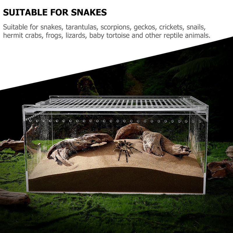 Kreativna posuda za hranjenje pauka za hranjenje tarantule Kućište za pauke Inkubator za pauke Praktična posuda za hranjenje pauka, puža, ljubimca, tarantule