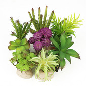 Planta de simulare decorativă Plante de deșert Ornament pentru cutie de reptile Ornament peisaj Acvariu