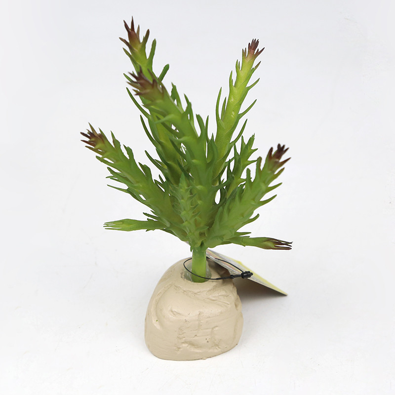 Planta de simulare decorativă Plante de deșert Ornament pentru cutie de reptile Ornament peisaj Acvariu