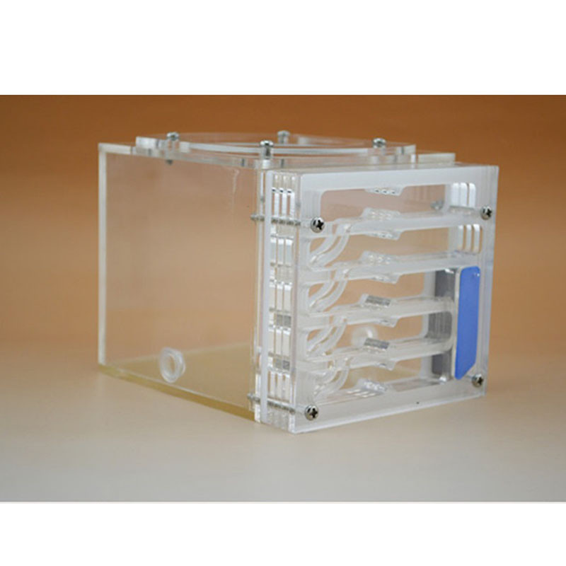 Umiditate Big Space Bionic Plane Acrilic Furnica Cuib