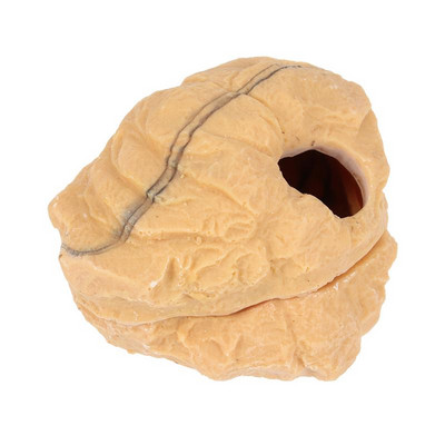 Powerlong Crawler Hiding Cave Tropical Rainforest Desert Reptiles House Resin Rockery Fish Tank Landscape Aquarium Decoration