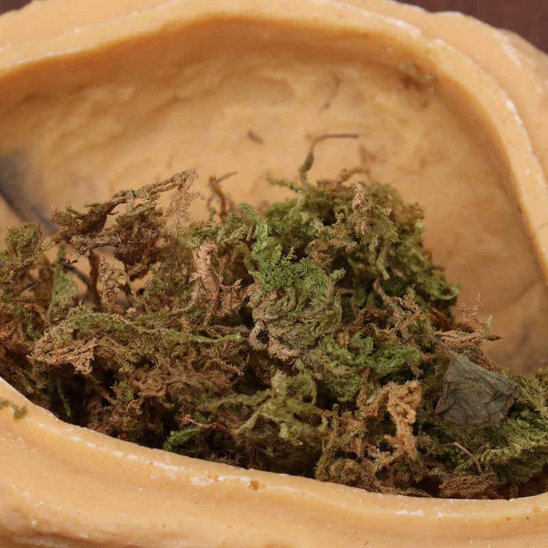 Powerlong Crawler Hiding Cave Tropical Rainforest Desert Reptiles House Resin Rockery Fish Tank Landscape Aquarium Decoration