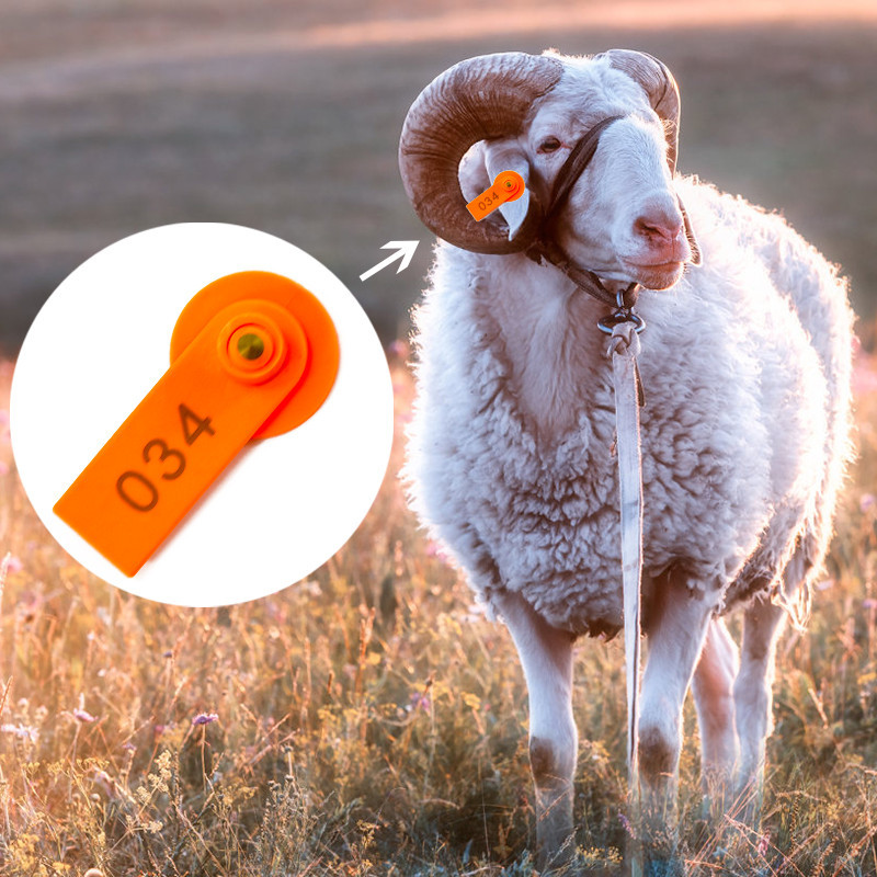 Kariloomade kõrvamärgid 100 numbriga lamba identifitseerimissilt Põllumajandusloomade tarvikud kitsedele sigadele kõrvarõngad lehmad veise marker