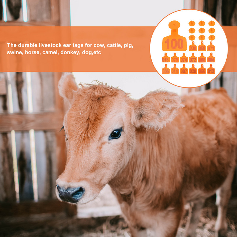 100 tk Veiste sildid Veterinaarmärgised Veterinaarmärgised Loomade märgised Lehmamärgised Number Veise märgis