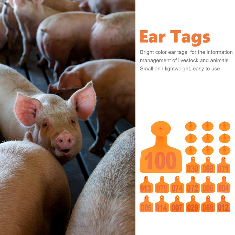 100 tk Veiste sildid Veterinaarmärgised Veterinaarmärgised Loomade märgised Lehmamärgised Number Veise märgis