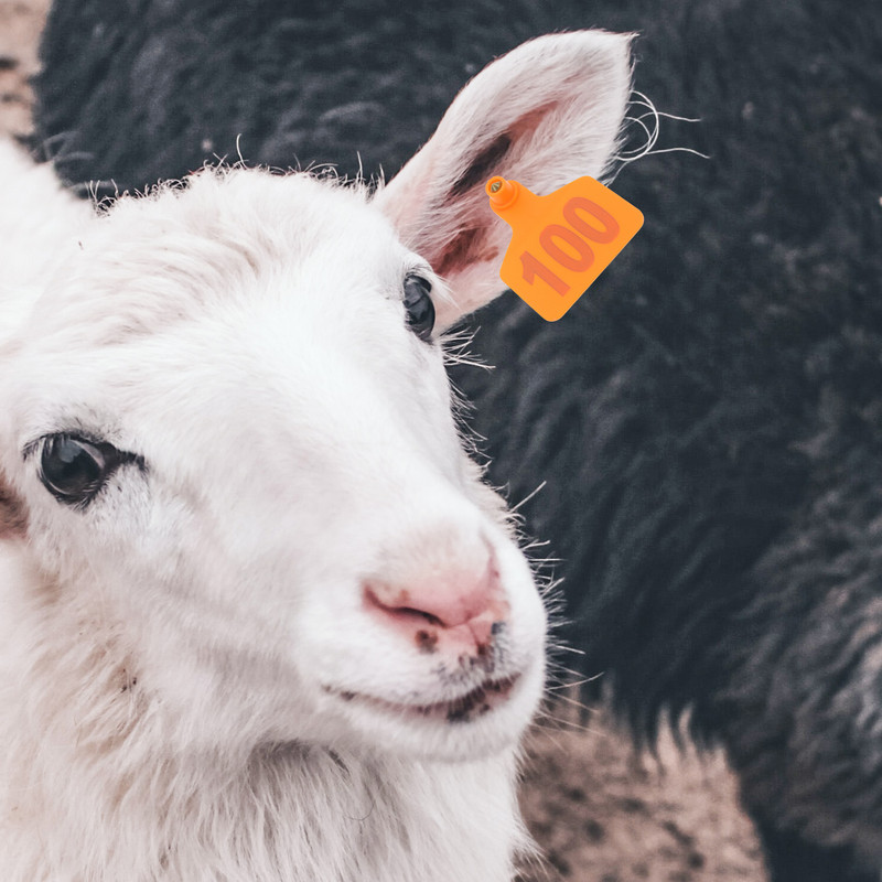 100 tk Veiste sildid Veterinaarmärgised Veterinaarmärgised Loomade märgised Lehmamärgised Number Veise märgis
