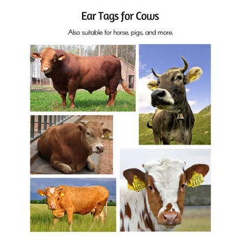 100Pcs Ετικέτες αυτιού κατσίκας Sheep Pig Goat Ear Marker Card 001-100 Numbered Livestock Identification Tagger Farm Animal Supplies
