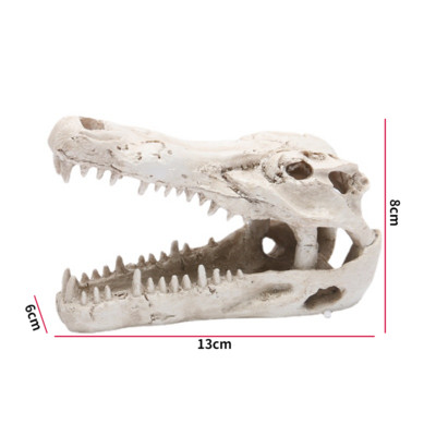Decor pentru acvariu, casă de reptile, rășină, craniu, ornament pentru acvariu, acvariu, peșteră, accesorii de decorare artificială pentru casă, dragon cu barbă