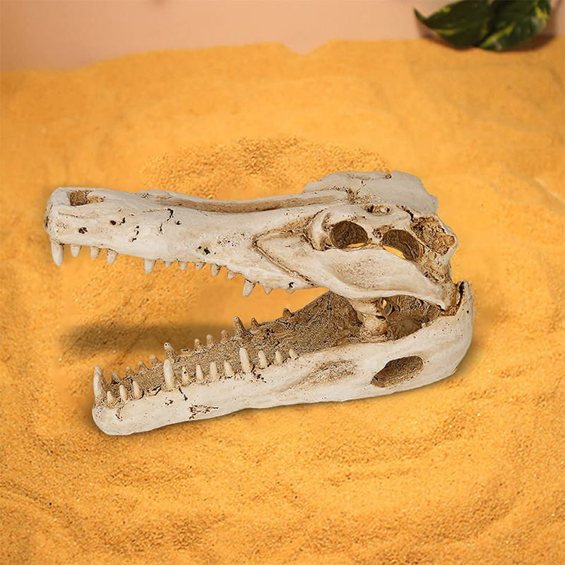 Decor pentru acvariu, casă de reptile, rășină, craniu, ornament pentru acvariu, acvariu, peșteră, accesorii de decorare artificială pentru casă, dragon cu barbă