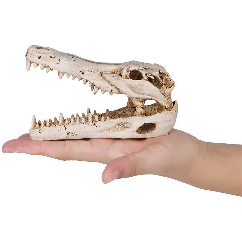 Decor pentru acvariu, casă de reptile, rășină, craniu, ornament pentru acvariu, acvariu, peșteră, accesorii de decorare artificială pentru casă, dragon cu barbă