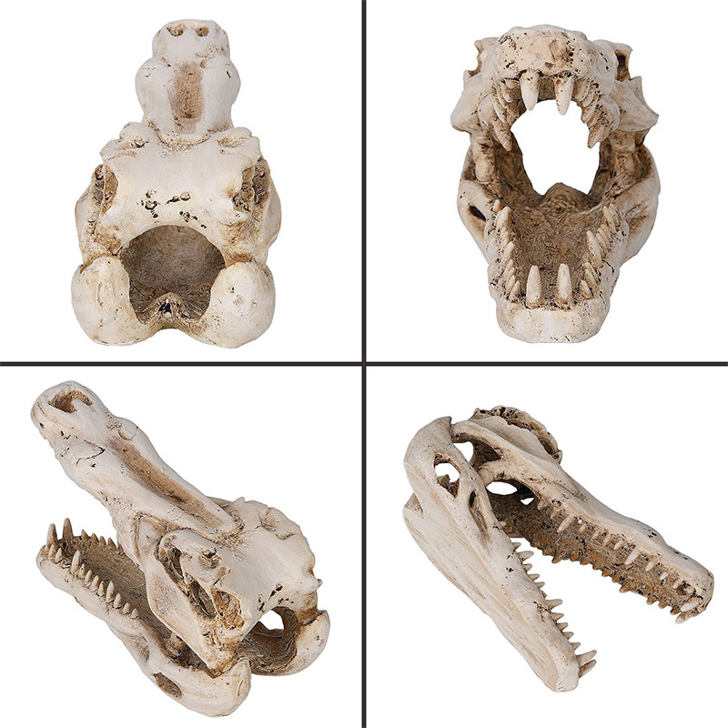 Decor pentru acvariu, casă de reptile, rășină, craniu, ornament pentru acvariu, acvariu, peșteră, accesorii de decorare artificială pentru casă, dragon cu barbă