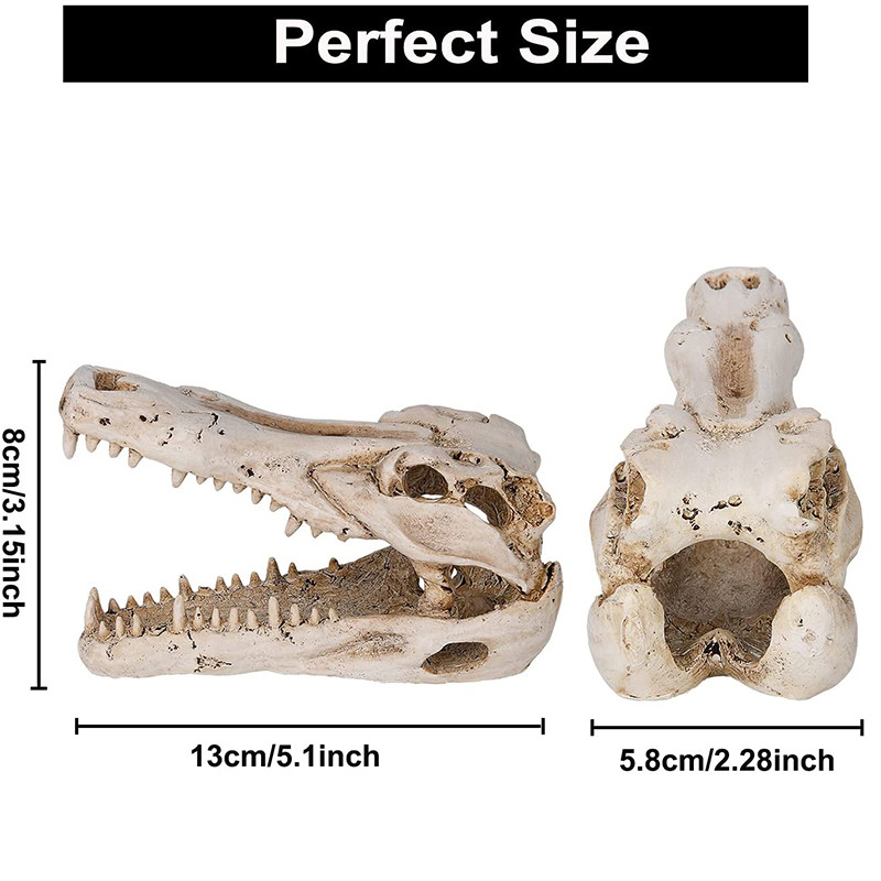 Decor pentru acvariu, casă de reptile, rășină, craniu, ornament pentru acvariu, acvariu, peșteră, accesorii de decorare artificială pentru casă, dragon cu barbă