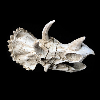 Resin Reptile Pet Skull Dodging Holes Triceratops Απολιθώματα οστών δεινοσαύρων Κουτί αναπαραγωγής Εξωραϊσμός Σπήλαιο Sundeck