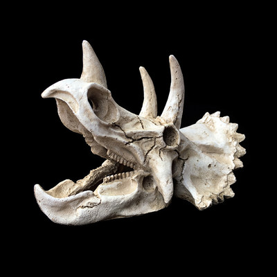 Resin Reptile Pet Skull Dodging Holes Triceratops Απολιθώματα οστών δεινοσαύρων Κουτί αναπαραγωγής Εξωραϊσμός Σπήλαιο Sundeck