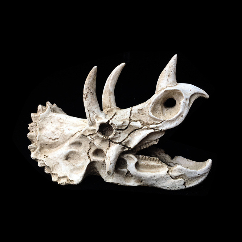 Rășină Reptilă Animal de companie Craniu simulat Găuri de eschivare Triceratops Dinozaur Os Fosile Cutie de reproducere Amenajare peisagistic Peștera