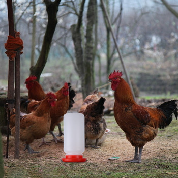 Ποτιστήριο κατοικίδιων κατοικίδιων μεγάλης χωρητικότητας Πλαστικό αποσπώμενο ποτιστήρι Ποτίσιμο πουλερικών Τροφοδότης νερού κατοικίδιων ζώων Προμήθειες πόσιμου νερού