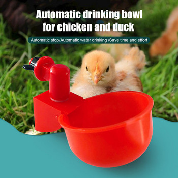 2 τμχ Automatic Chicken Water Cup Waterer Bowl Kit Farm Coop Poultry Waterer Drinking Feeder for Chicks Duck Goose Turkey Ορτύκια