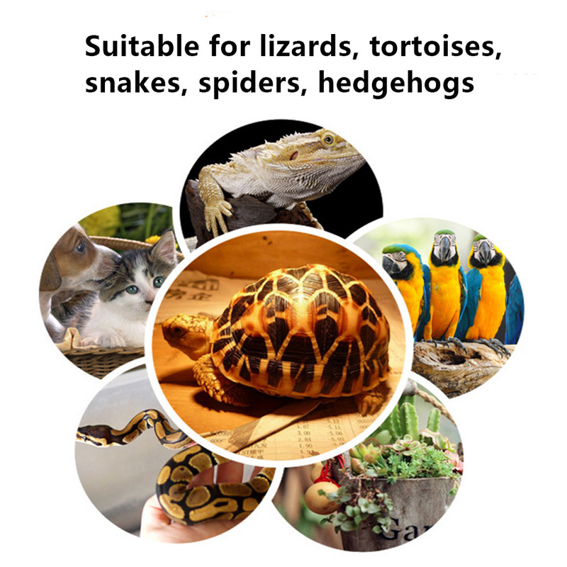 Mini keraminė šildymo lempa 220V 25W/50W /75W /100W E27 infraraudonųjų spindulių roplių vėžlys šiltos lemputės vandeniui atsparus temperatūros reguliatorius