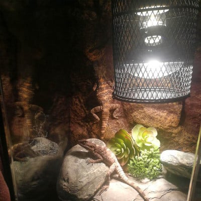 Reptile Ceramic Light Holder Shade Anti-scald Heater Guard Pet Amphibian Heating Bulb Lampshade