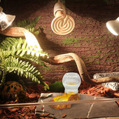 Distribuitor de apă pentru reptile, umplere automată, bol cu apă pentru reptile, cu rășină pentru sticla, pentru broasca testoasa, reptile, broasca soparla