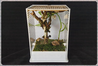 Putukate aretuskast mantis Villa Akrüül putukakasvatus ökoloogiline kast ökoloogiline konteiner mürgivaba kahjutu vastupidav