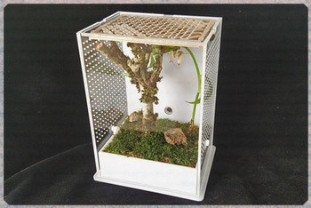 Кутия за размножаване на насекоми богомолка Вила Акрилна екологична кутия за размножаване на насекоми екологичен контейнер нетоксичен безвреден издръжлив
