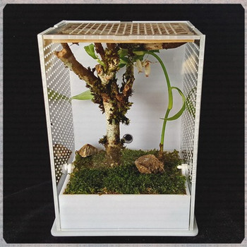 Кутия за размножаване на насекоми богомолка Вила Акрилна екологична кутия за размножаване на насекоми екологичен контейнер нетоксичен безвреден издръжлив