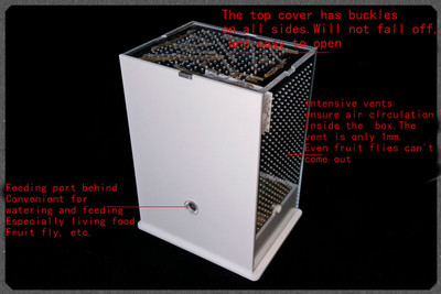 Putukate aretuskast mantis Villa Akrüül putukakasvatus ökoloogiline kast ökoloogiline konteiner mürgivaba kahjutu vastupidav