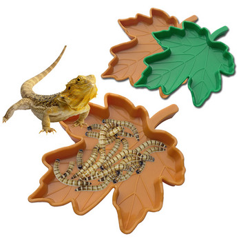 2022 Νέα δημιουργικά φύλλα σε σχήμα πλαστικό ερπετό πιάτο αμφίβια Λεκάνη τροφοδοσίας νερό Μπολ Τροφίμων Gecko Worm Feeder Προμήθειες για κατοικίδια Ζεστά