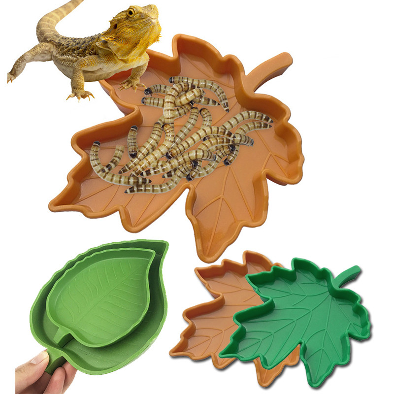 2022. aasta uued loomingulised lehed, kujuga plastist roomajate roog Kahepaiksete toitmisnõu vesi, toidukauss Geko ussidega söötja lemmikloomatarbed kuumad