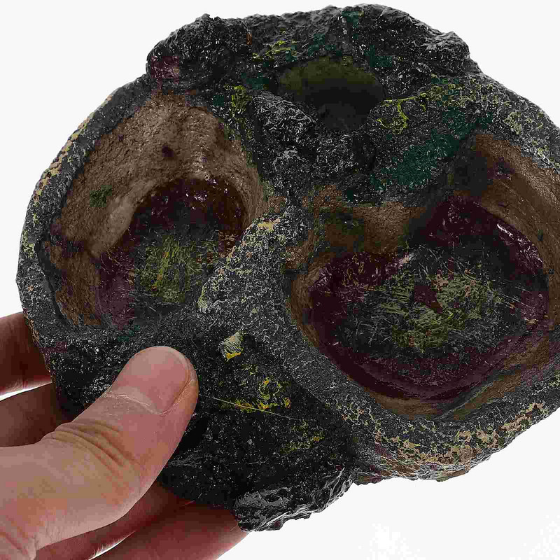 Bol pentru reptile Suport pentru hrănire pentru vase de apă Hrănitor pentru broaște țestoase Terariu șarpe țestoasă Rezervor cu șopârlă Bazin din rășină Dispenser pentru boluri pentru broaște