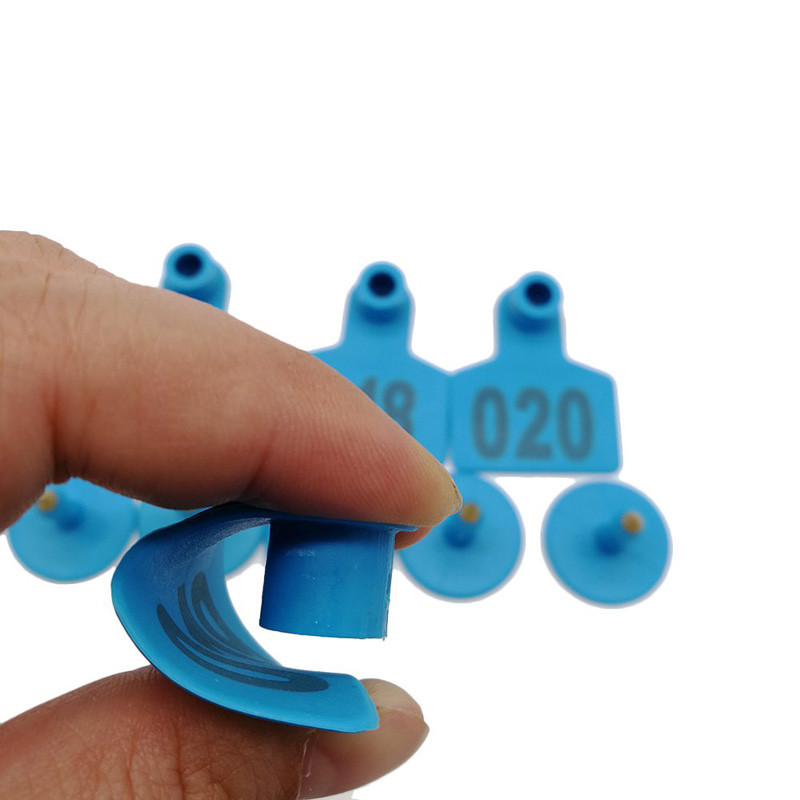 100 tk Laser sõnaga Pig Ear Signage Sea Veised Lambad Identifitseerimisnumber Emised Kõrvaplaat