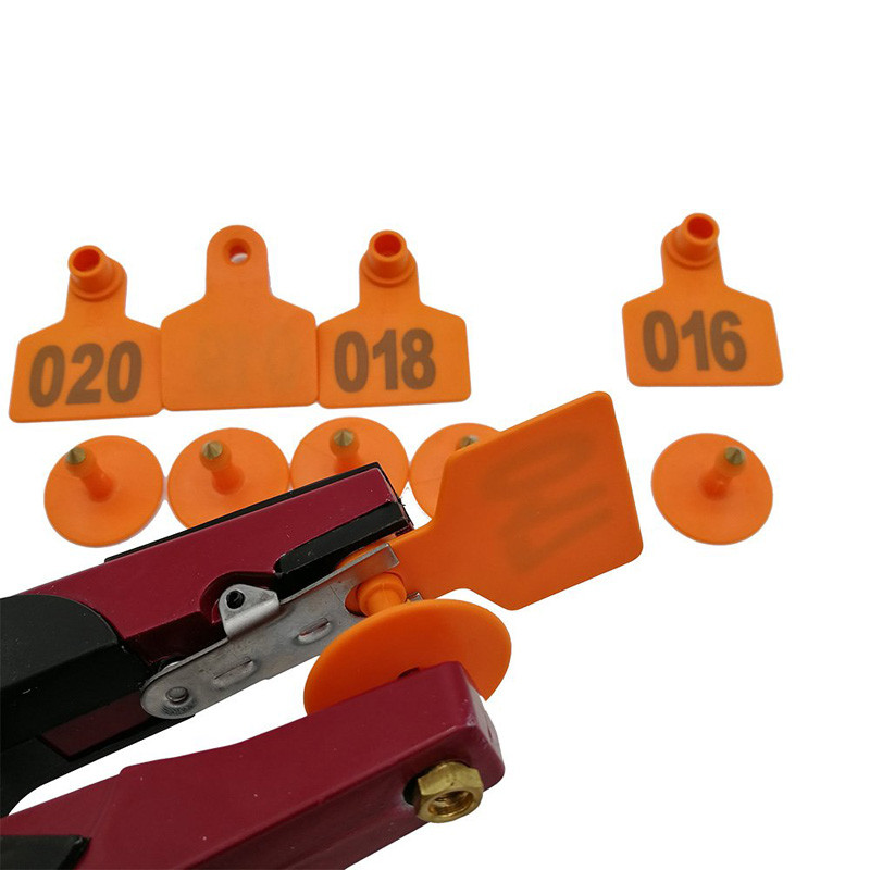 100 tk Laser sõnaga Pig Ear Signage Sea Veised Lambad Identifitseerimisnumber Emised Kõrvaplaat