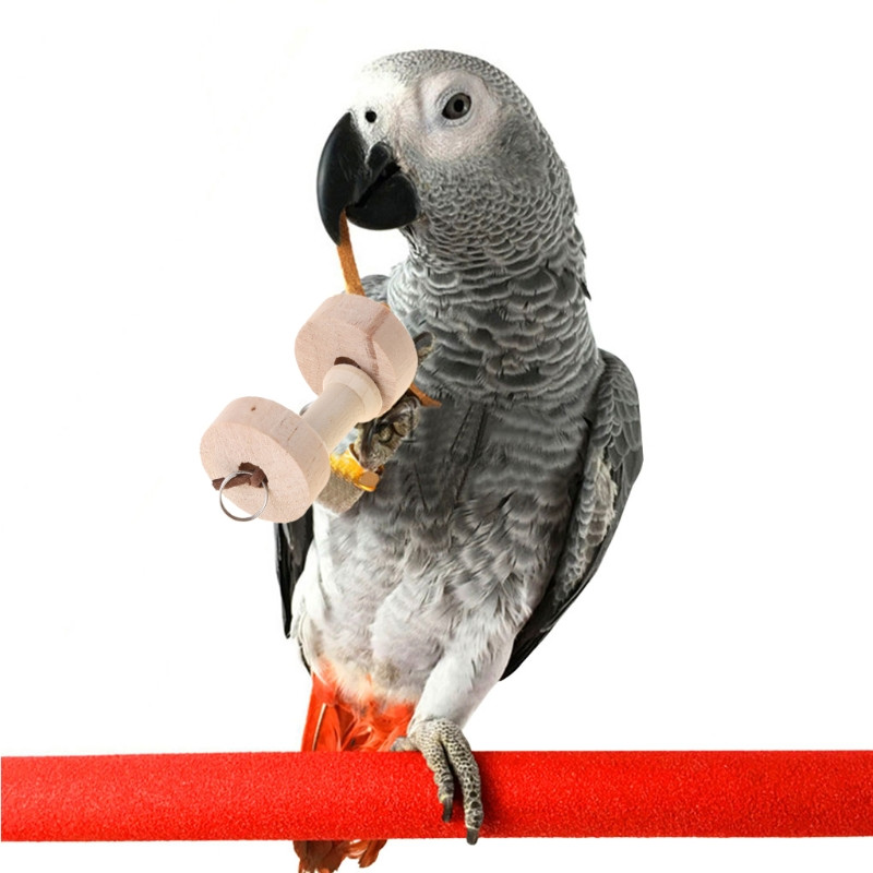 Papagal Animal De Companie Pasăre Haltere Jucării de mestecat Lemn Pentru Perus Cockatiel Cușcă Distractivă Jucărie Nou