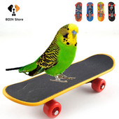 Mini skateboard, păsări, papagal, jucării inteligente, skateboard pentru antrenament, skateboard-uri, peruși, calote, păsări, păsări, picior, jucării