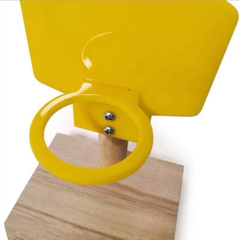 Papagoi mänguasi Lemmiklinnud Närimiskella pallid Viirpapagoid Mänguasjad Linnu tarvikud Korvpallirõngaste rekvisiidid papagoi kukeseene puuri jaoks