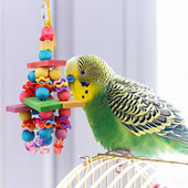 Papagal Mușcă Minge de mestecat Jucărie acrilică pentru păsări Blocuri colorate din lemn Jucării pentru leagăn pentru animale de companie Eliberarea stresului Ornamente pentru cușcă