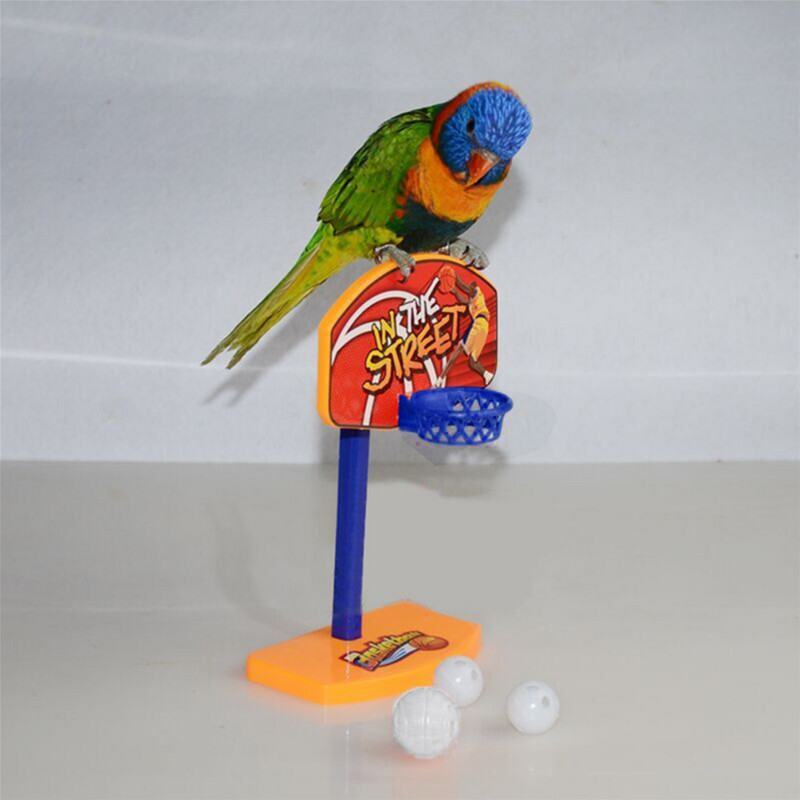 Parrot Puzzle Training Igračka za intelektualni razvoj Mini košarkaški obruč Lopta Pet Papiga Oprema za kućne ljubimce Nasumične boje