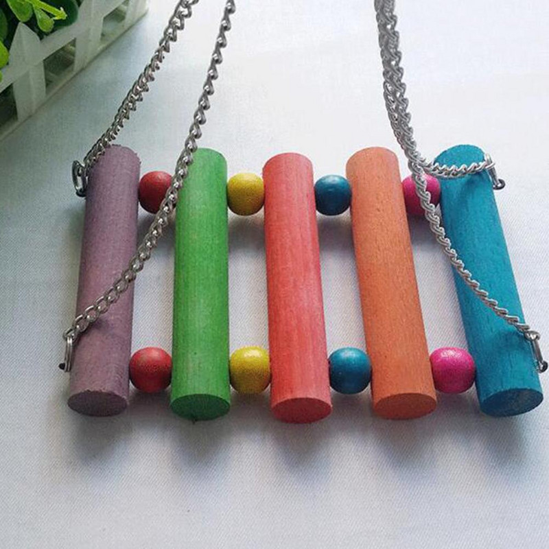 Koka papagailis, šūpoles, stienis, kāpšanas kāpnes, uz rokām, putnu šūpuļtīkls, piekārta rotaļlieta