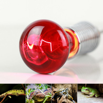 R63 Lampă de încălzire cu infraroșu Bec de încălzire pentru broasca țestoasă șopârlă reptilă șarpe animal de companie 220-240V regulator de temperatură 40W 60W