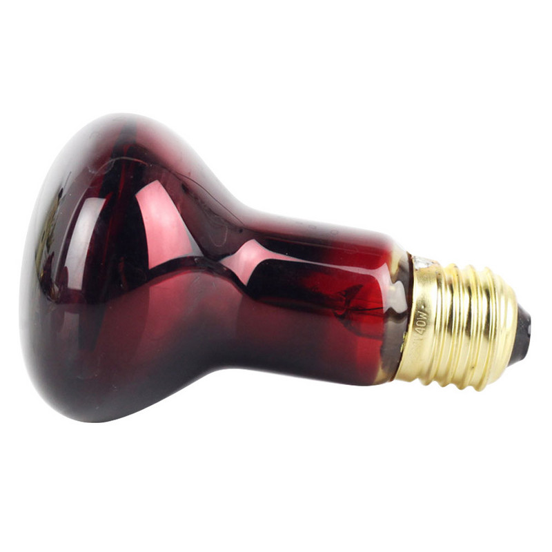 R63 infraraudonųjų spindulių šildymo lempos šildytuvo lemputė, skirta vėžliui driežui ropliui gyvatės augintiniui 220-240V temperatūros reguliatorius 40W 60W