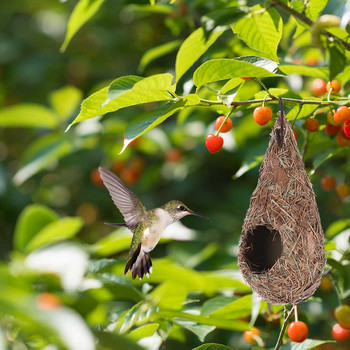 Φυσική Καλύβα Πτηνών για Εξωτερική Χειροποίητη Φωλιά Πουλιά Καλύβα για Διακόσμηση Αυλής Σπίτι κολιμπρί Φωλιά πουλιών υψηλής ποιότητας