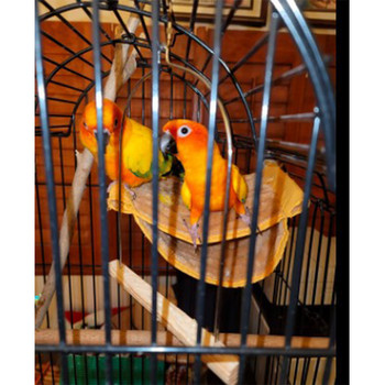 Bird Nest House Winter Warm Parrot House Αιώρα Κρεβάτι Σκηνή Παιχνίδι Κλουβί πουλιών Πέρκα Βάση για Parrots Budgies Parakeet