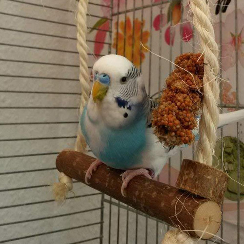 Jucărie din lemn Animale de companie agățate pasăre suport papagal biban frânghie din bumbac cușcă leagăn jucărie de mestecat